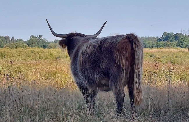 House in Hunzebergen Near Forest Trails - Foto 38