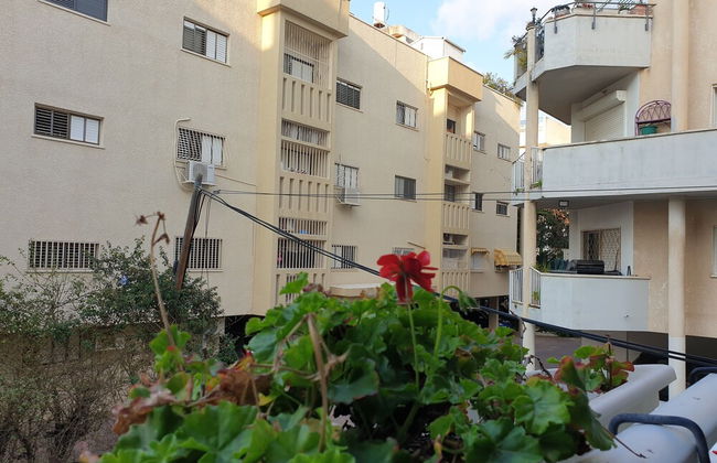 Comfortable apartment - Foto 37