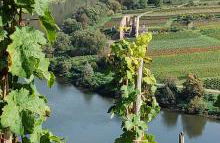 Ferienwohnung Katharina II - Foto 28