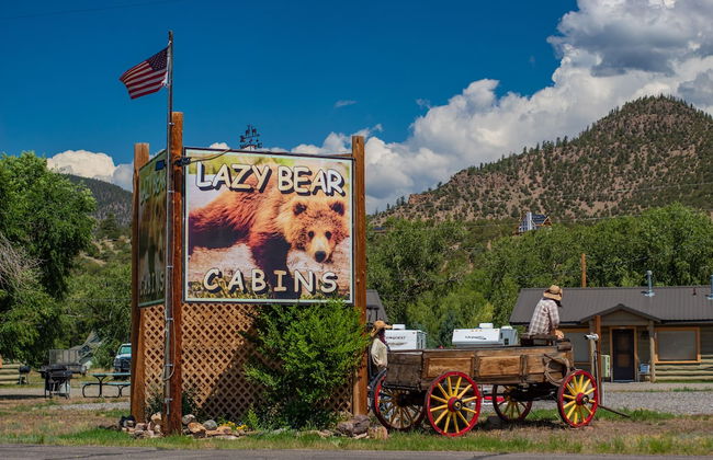 lazy bear cabins - Foto 52