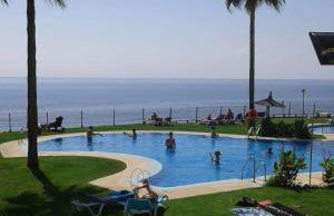 Mi Capricho - Photo 48