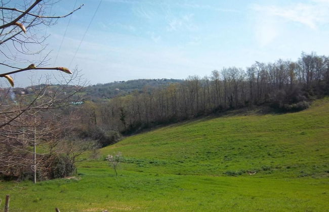 Agriturismo Norianino - Photo 36
