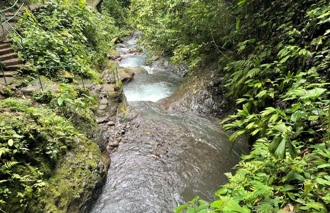 Trilha pela reserva Rainmaker - Foto 5