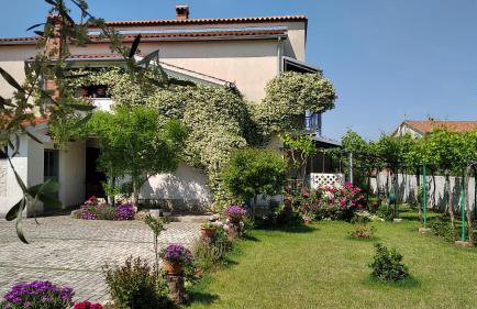 Apartments Saša - pets friendly! - Foto 1