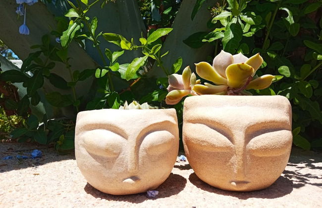 Bonora Country Houses - Canava - Foto 19