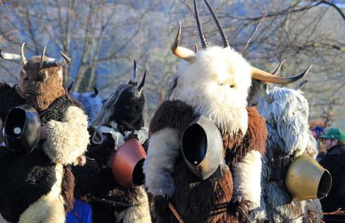 Bergesgrün - Photo 53