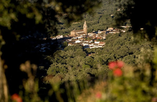 Finca La Fronda - Foto 19