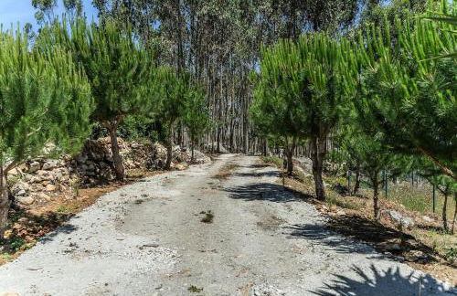 A Casa de Pedra - Foto 28