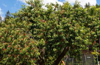 Holzwerk Oybin - Foto 31