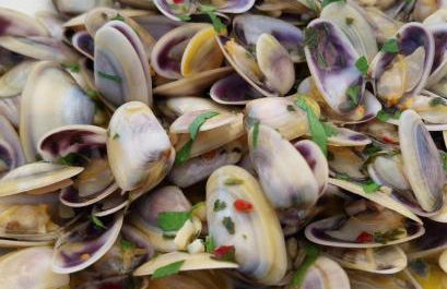 S&H La Consentida - Foto 12