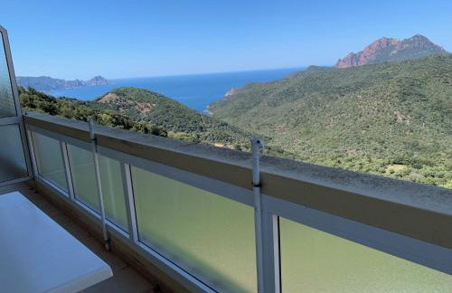 Les Asphodèles - Foto 10