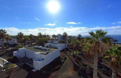 Palmeras Garden - Foto 74