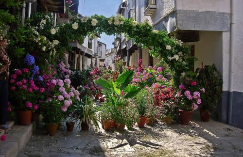 Apartamentos Turisticos Mirayuste - Photo 67