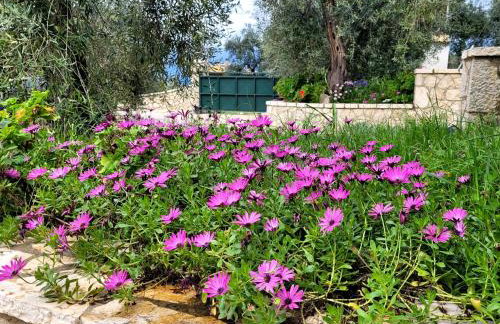 Gelbes Haus Korfu - Foto 8