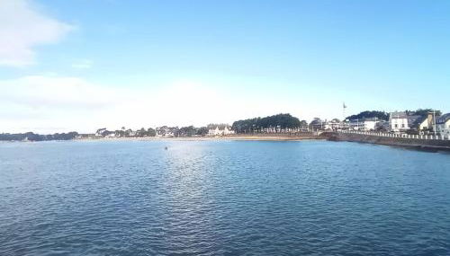 Les Hortensias - Foto 4