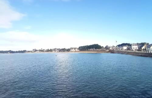 Les Hortensias - Foto 4