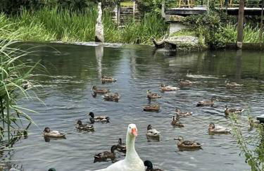 Happiness Verteuil sur Charente - Foto 33