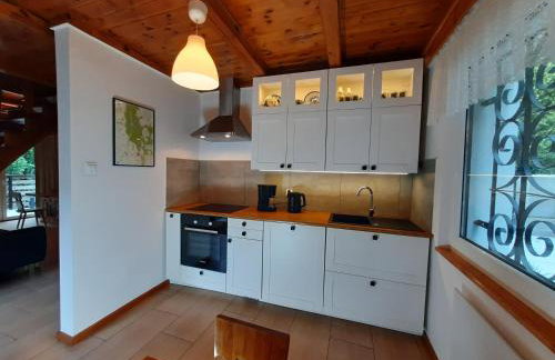 Dom nad Jeziorem Bory Tucholskie Pomost Łódka - Foto 8