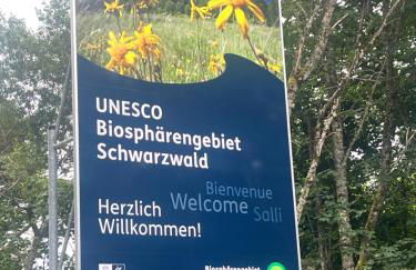 Haus am Waldrand - Foto 30