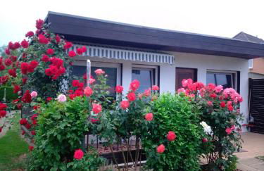 FEWO Isla 1 - Foto 11