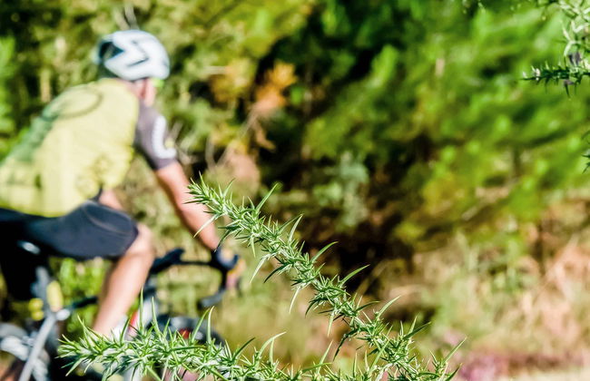 Excursion à Lumbarda à vélo + Dégustation de vins - Photo 1