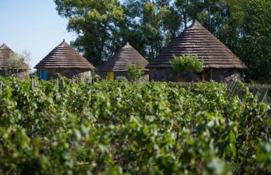 Is Cheas wine farm boutique hotel - Foto 36