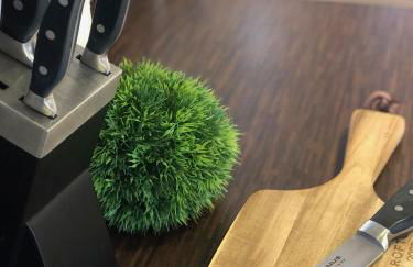 Ferienwohnung Haid Bodensee, Umgebung Bodman-Ludwigshafen, Radolfzell, Überlingen, Luxus FeWo Haid - Foto 7