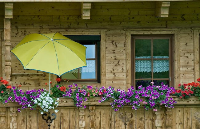 Schatzbergblick - Foto 26