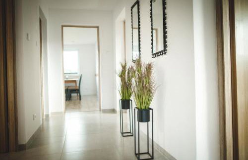 W Kraju Basków - Foto 9