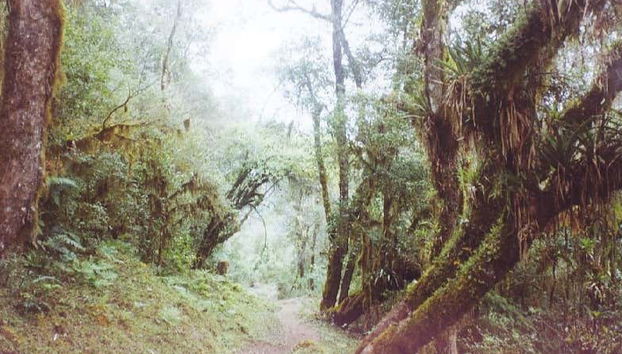 Senderos de la Reserva Nacional de Tariquía