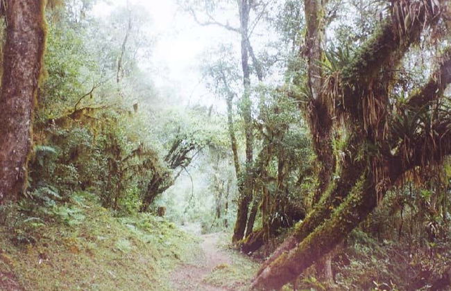 Tour de 6 días por la Reserva Nacional de Tariquía - Foto 3
