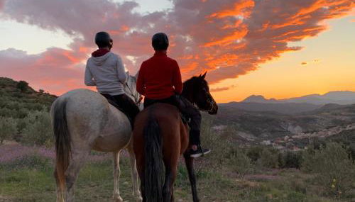 Apartamentos La Granja - Foto 4