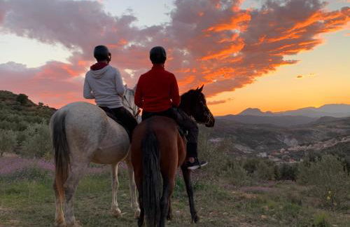 Apartamentos La Granja - Foto 4