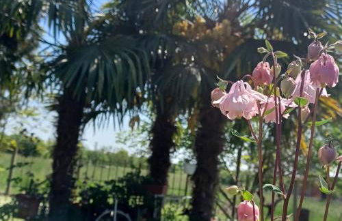 Casa colibrì - Foto 3