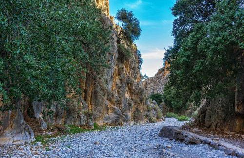 Traditional Villa Askyfou - Photo 76