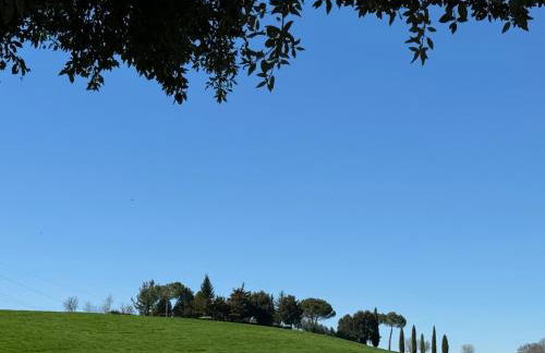 Orvieto Country House - Foto 7