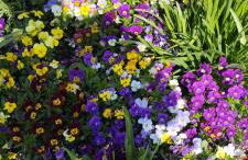 Lieblingsplatz - Foto 16