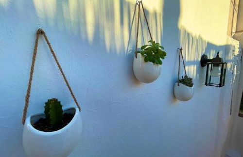 CASA MÚA - Photo 48