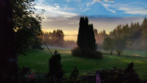 Altes Forsthaus Bodenmais - Foto 5, Garden view