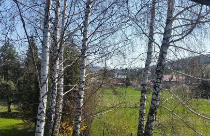 Domek Pod Brzozami - Foto 42