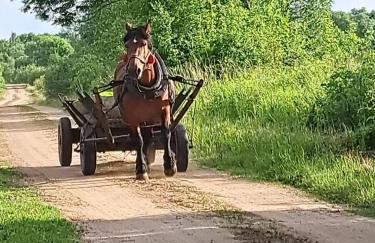 Appartment II Dwor Kuflew - Foto 22