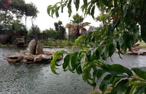 Casa de Sta Comba - Foto 20