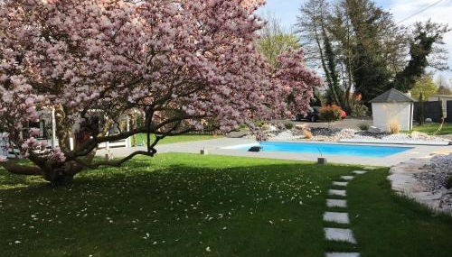 Les Rives des Habsbourg - Foto 5