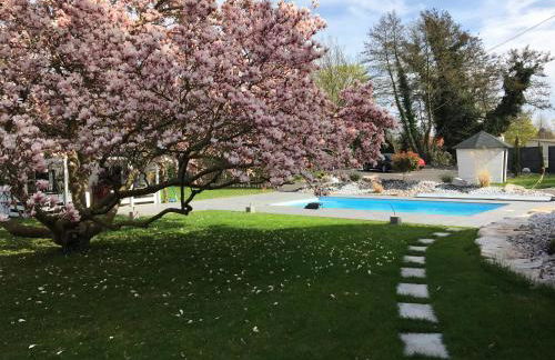 Les Rives des Habsbourg - Foto 5