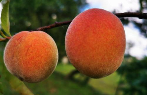 Casa Azul Vales - Foto 23