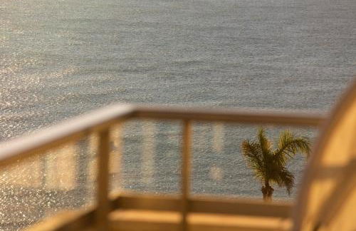 Four Seasons Penthouse Cullera - Photo 22