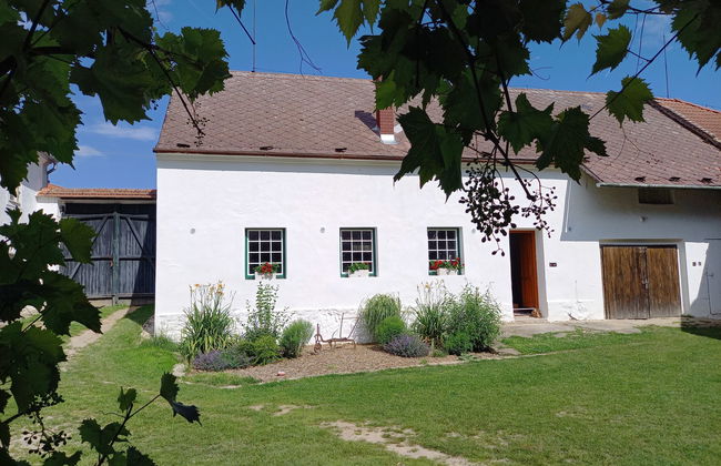 Kojetice na Moravě - Foto 36