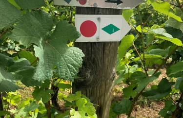 Gîte des Vignes à Viéville-sous-les-Côtes Escapade nature et patrimoine Meuse - Foto 20