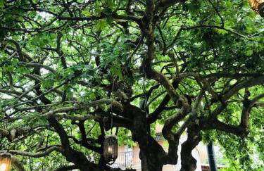 Stonehouse dome Lagadia - Photo 50