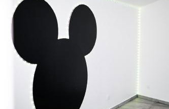 Disney World - Foto 16